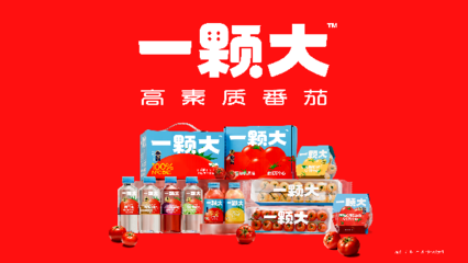 一顆大櫻桃番茄的東南亞之旅 中國(guó)蔬菜“出海”版圖再拓展